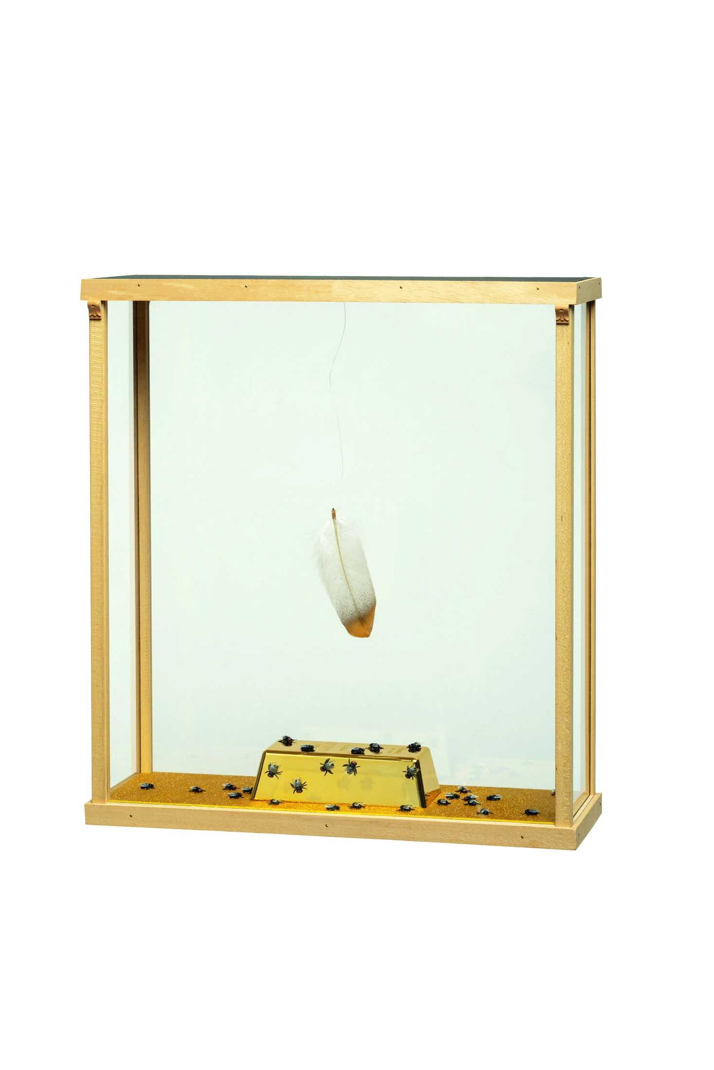  ORO , 2017 struttura in legno, piuma, lingotto oro finto, mosche artificiali, materiale sintetico perlinato, vedril trasparente cm 23x53x52 