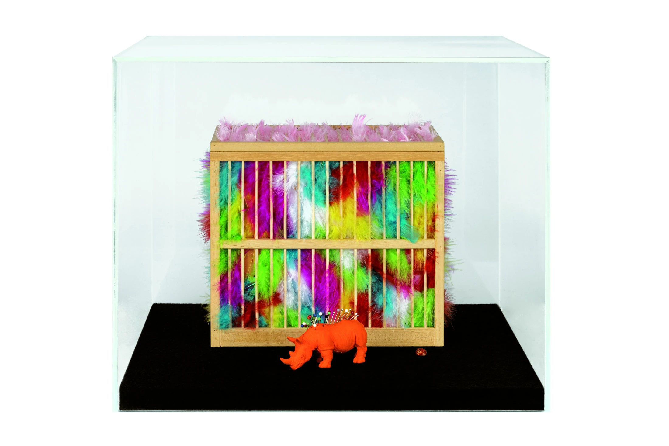 Ultimo safari, 2017 gabbia in legno,piume,rinoceronte in materiale plastico,teca in metacrilato cm 50x50x37 2