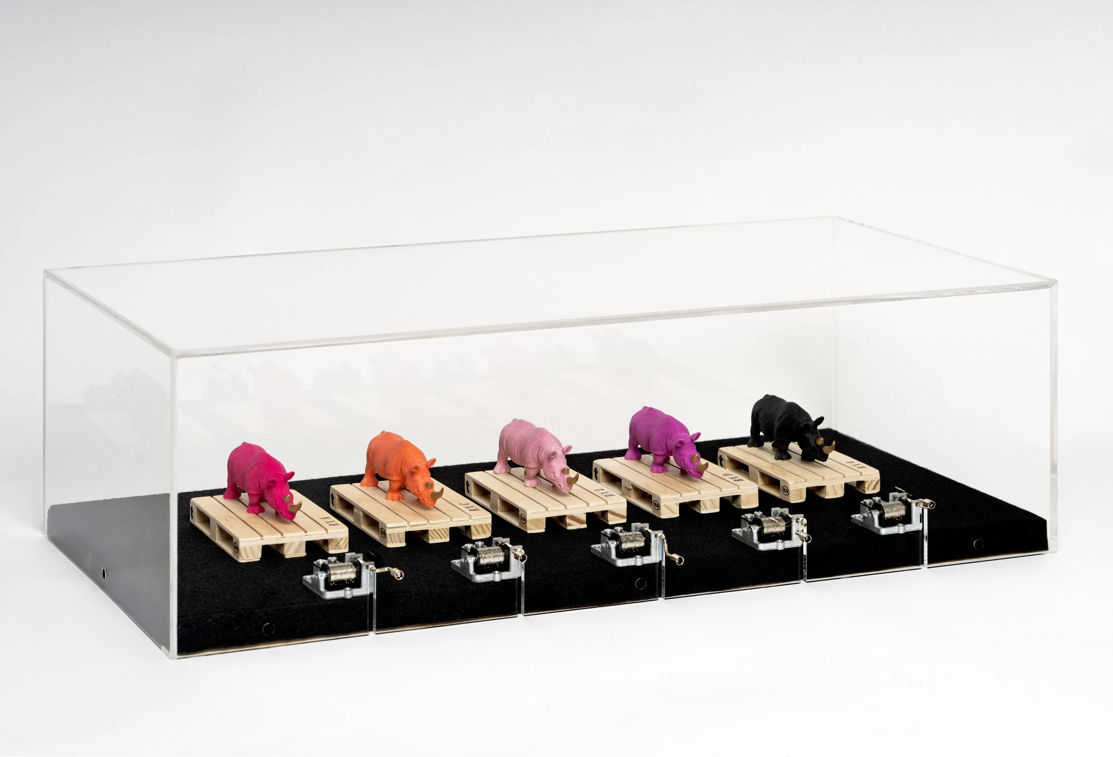 Ultimo safari (musicale), 2020 bancalini in legno, rinoceronti in materiale plastico,carillon,teca in metacrilato cm 66x33x22 