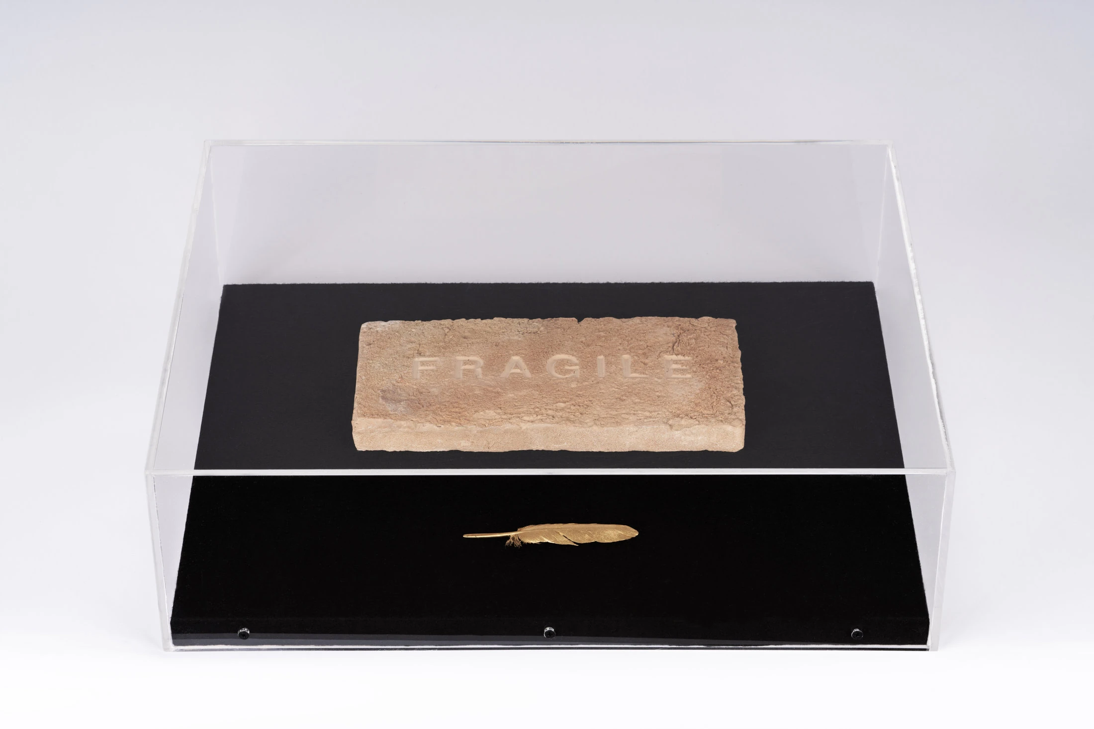 Fragile, 2021 mattone in terracotta,piuma dorata,teca in metacrilato cm 41,5x52x17 copia