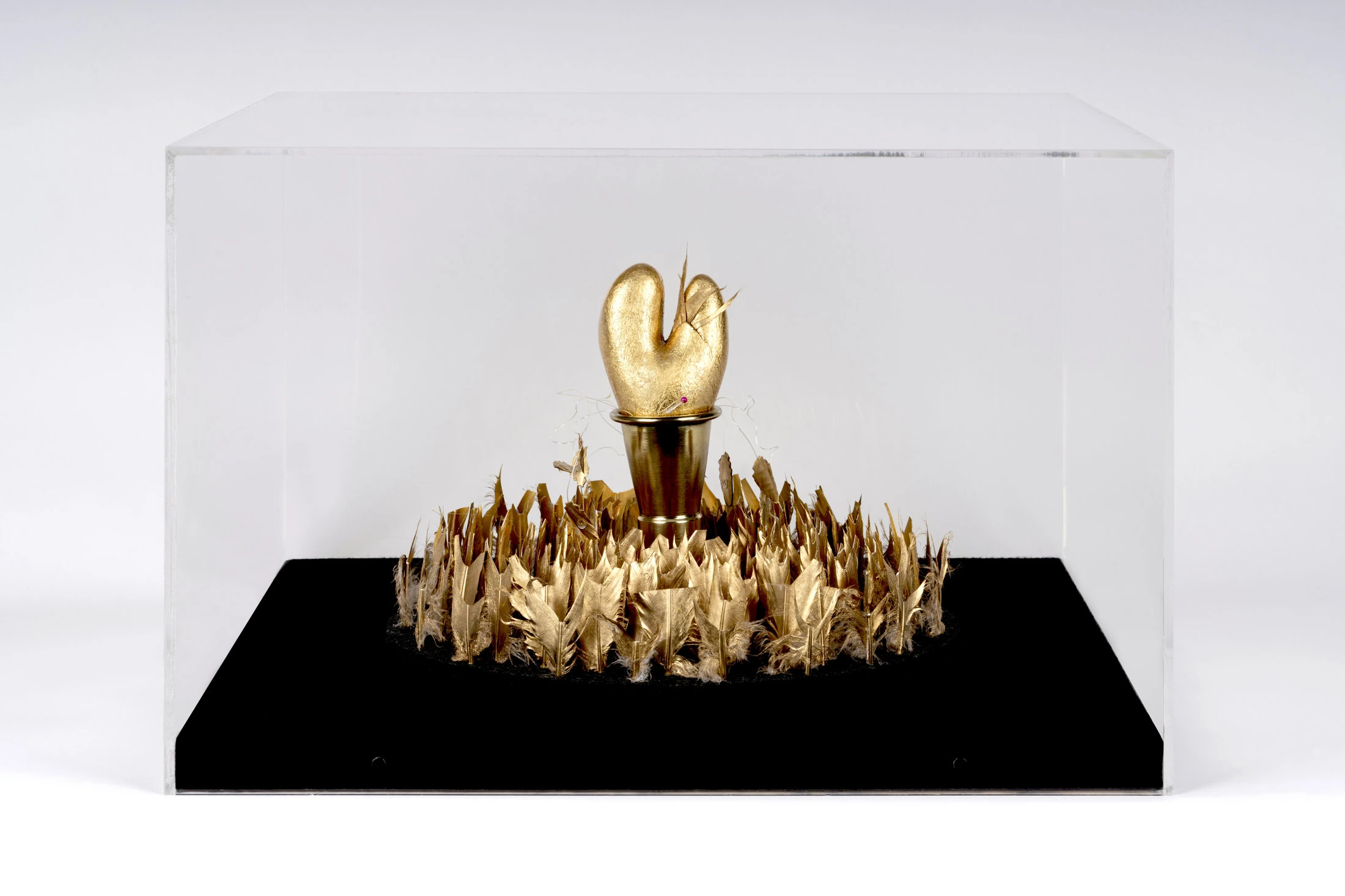 Fragilis, 2021 feltro,piume,bronzo,terracotta dorata a foglia d'oro,teca in metacrilato cm 54,5x54x37 copia