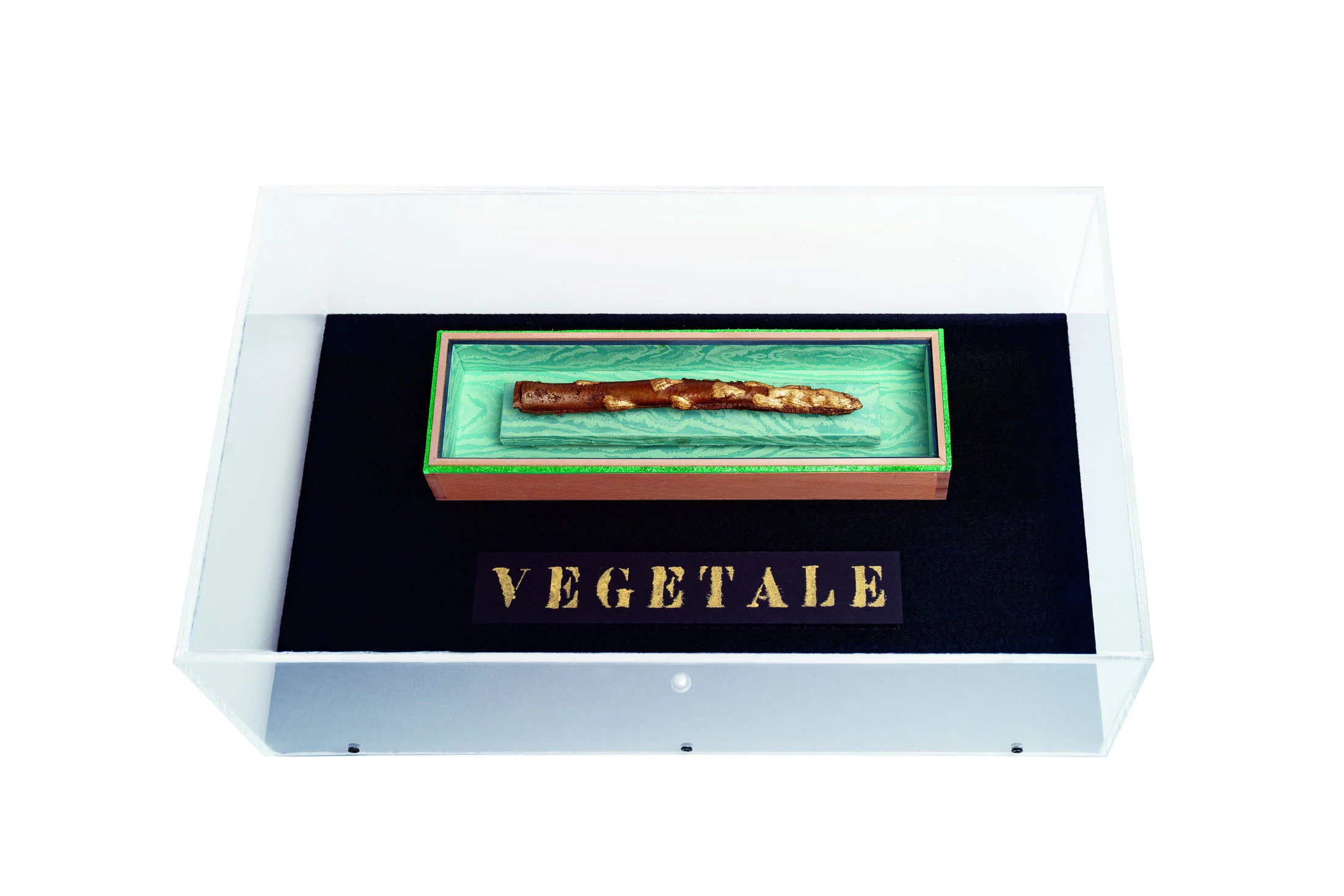 VEGETALE, 2024 struttura in legno, stoffa, fusione in bronzo parzialmente dorato a foglia d’oro, cartone alveolare, tempera acrilica, teca in metacrilato 17,5x53x31,5 cm 