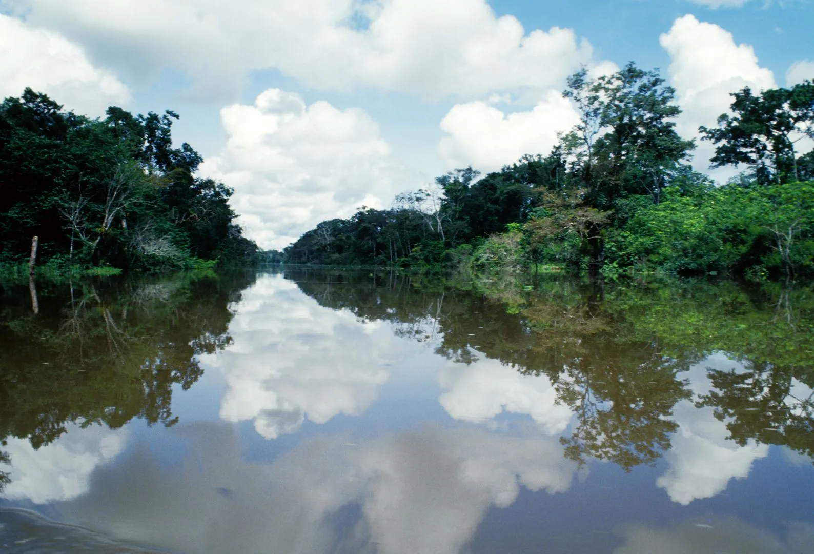 1978 Amazzonia – riserva di Pacaya Samiria