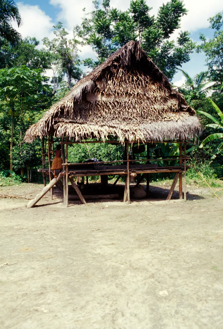 1978 Amazzonia - Yaguas, tipica capanna rialzata da terra per evitare le inondazioni