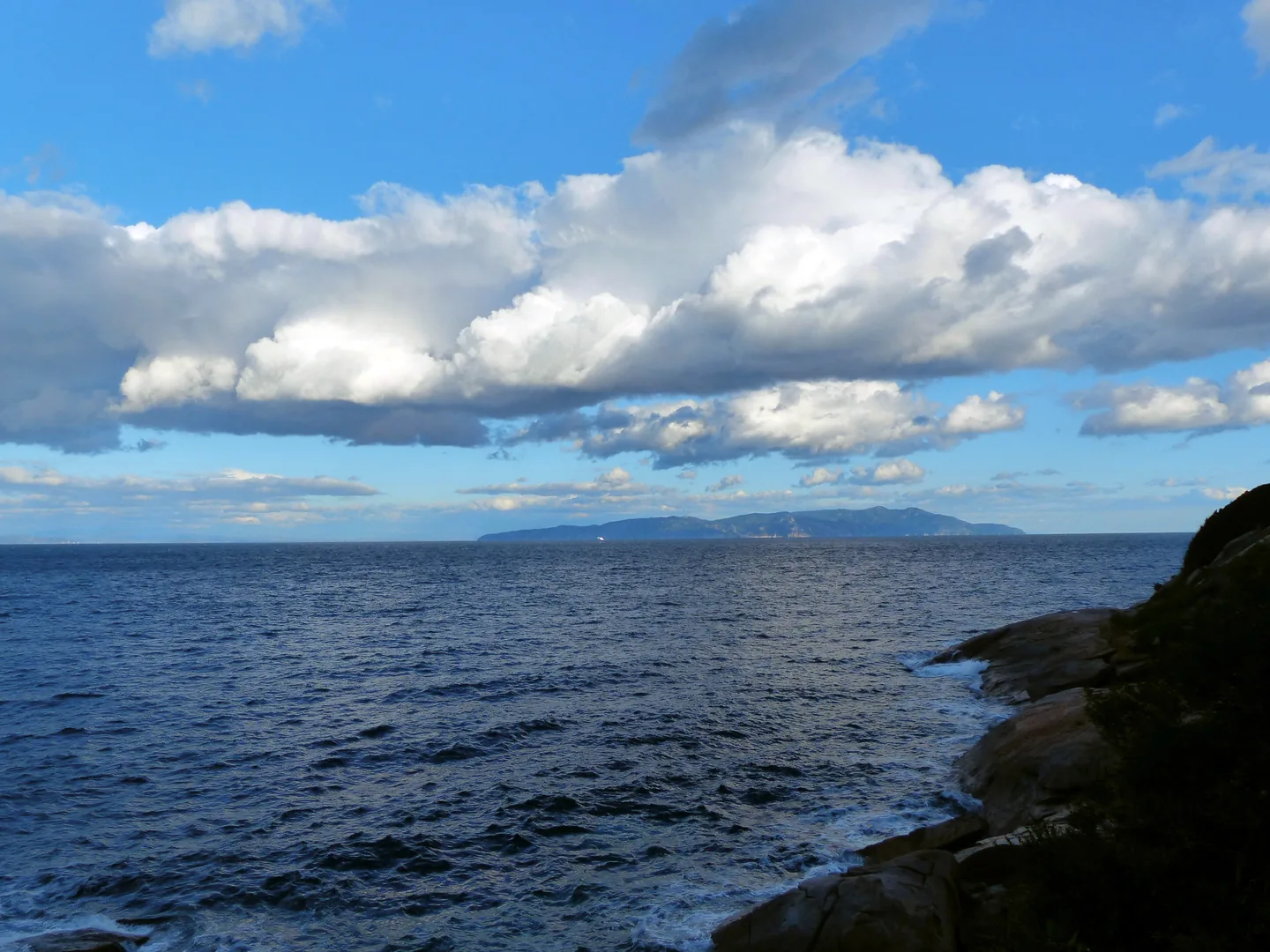 Giglio 1