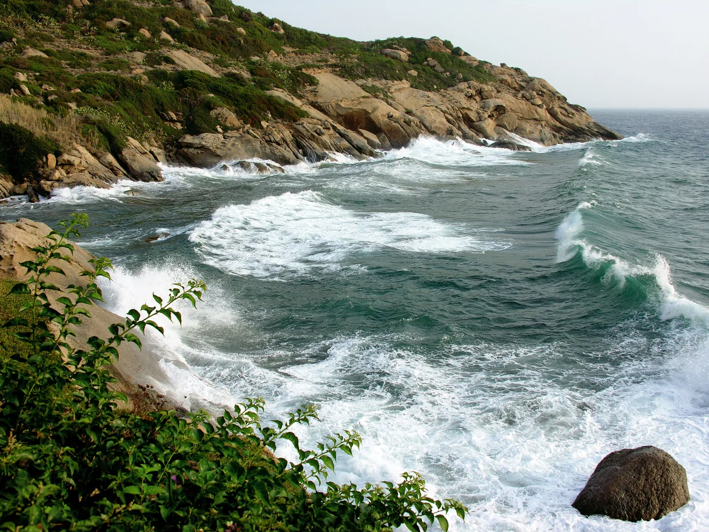 Giglio 2