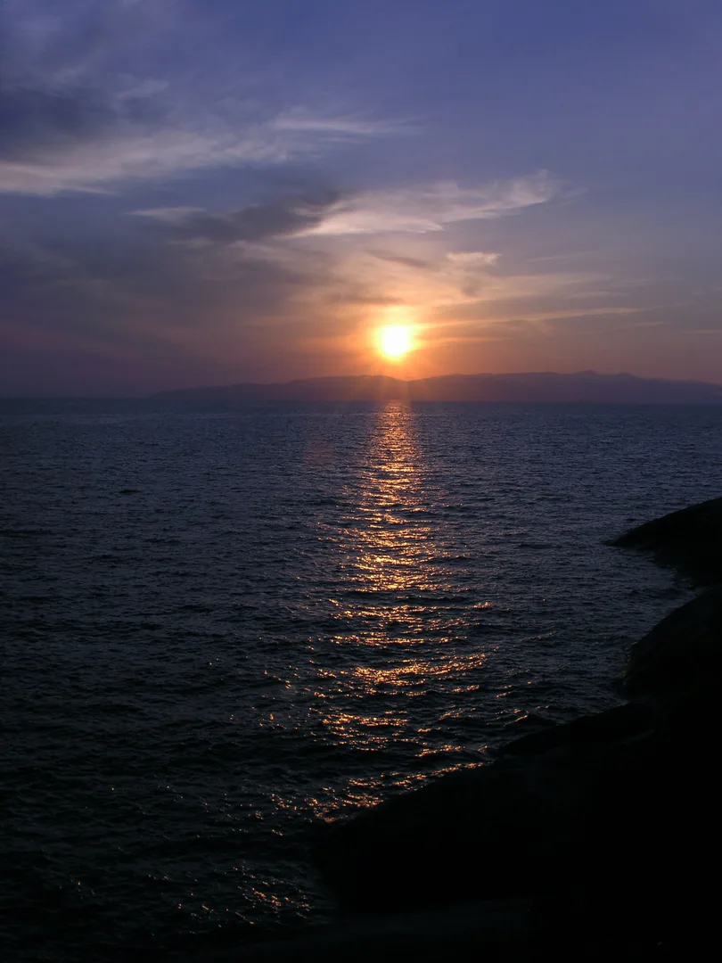 Giglio 16