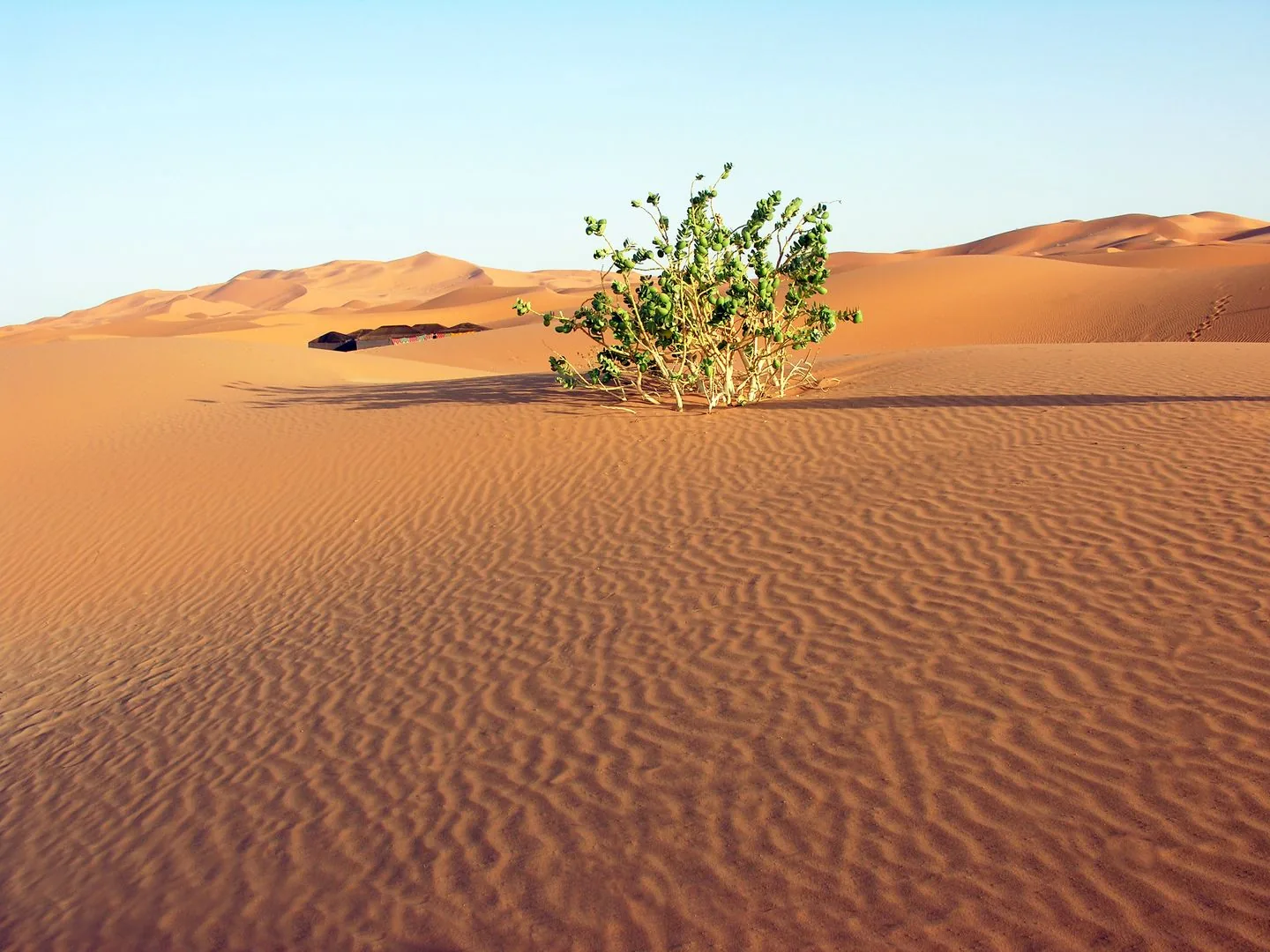 2011 Marocco -Deserto sahariano