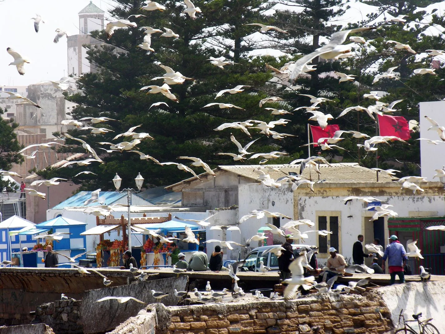 2011 Marocco - Essaouira